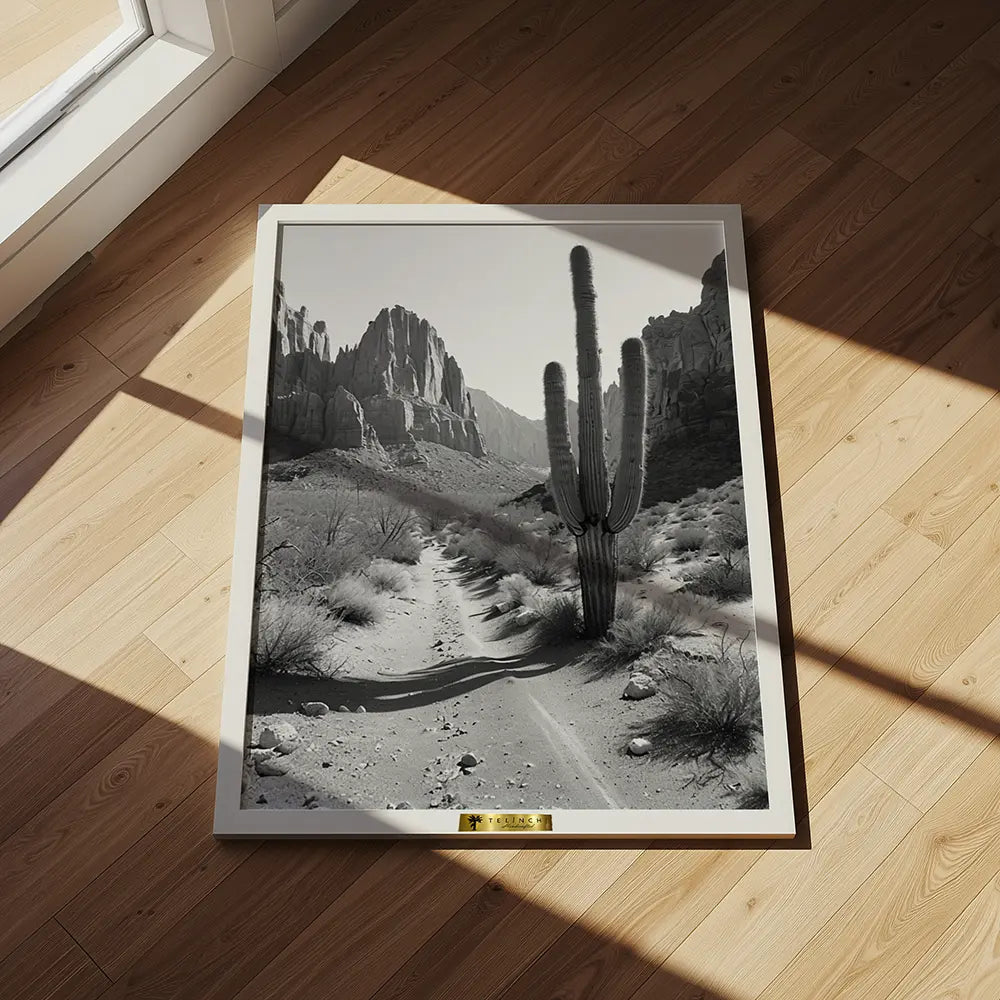 Desert Solitude