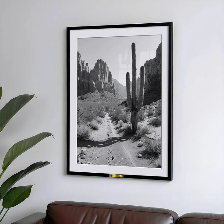 Desert Solitude