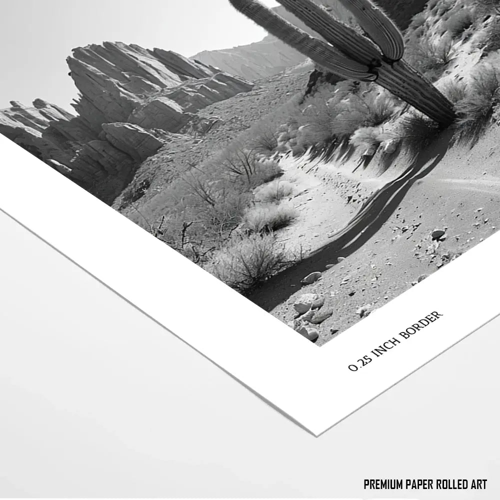 Desert Solitude