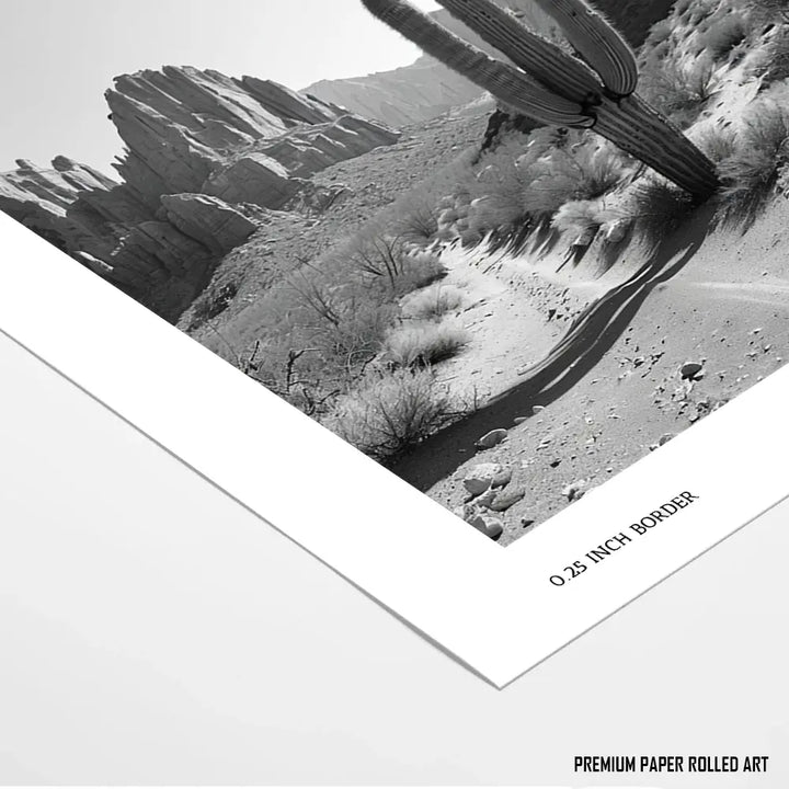 Desert Solitude