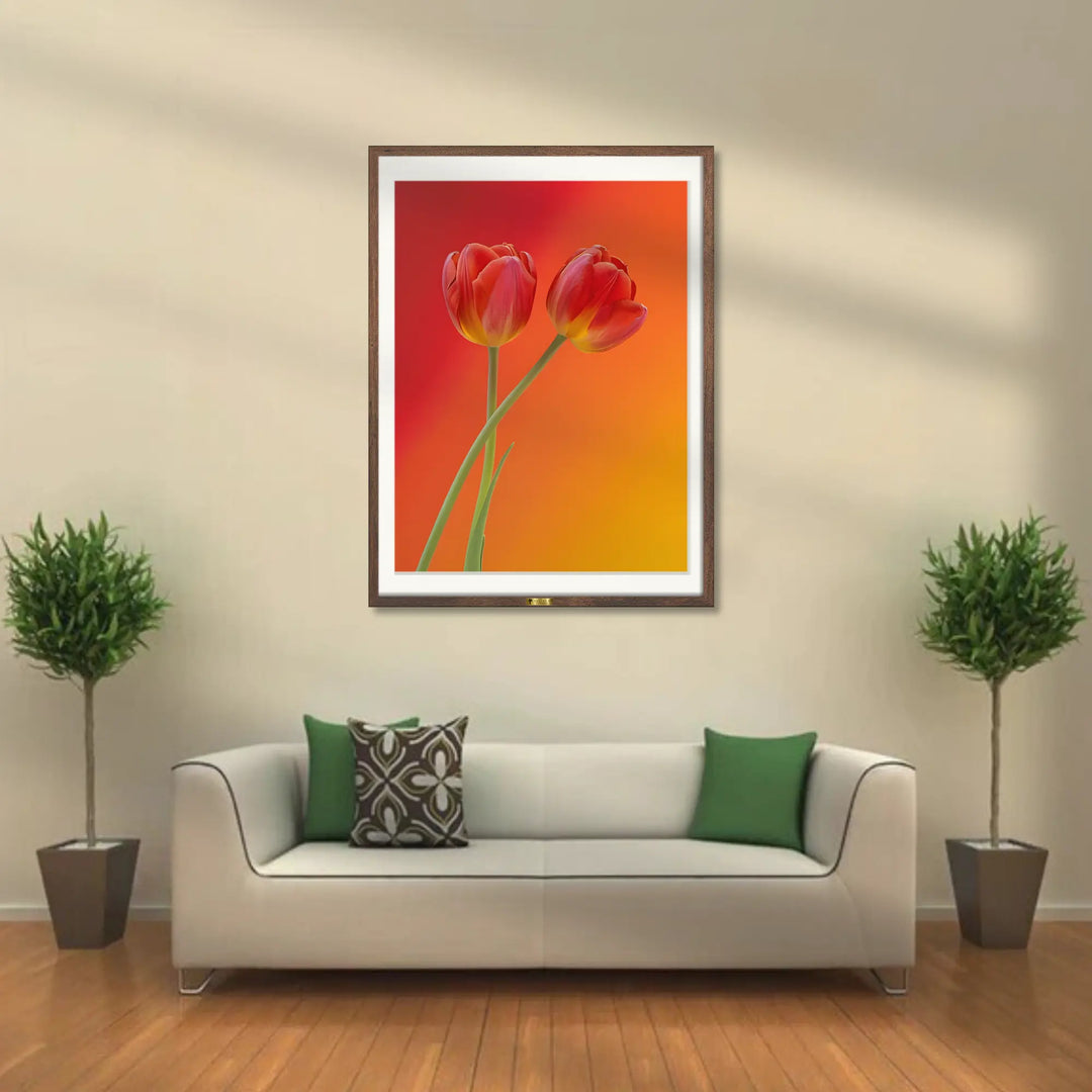 Blazing Tulips - Telinchi