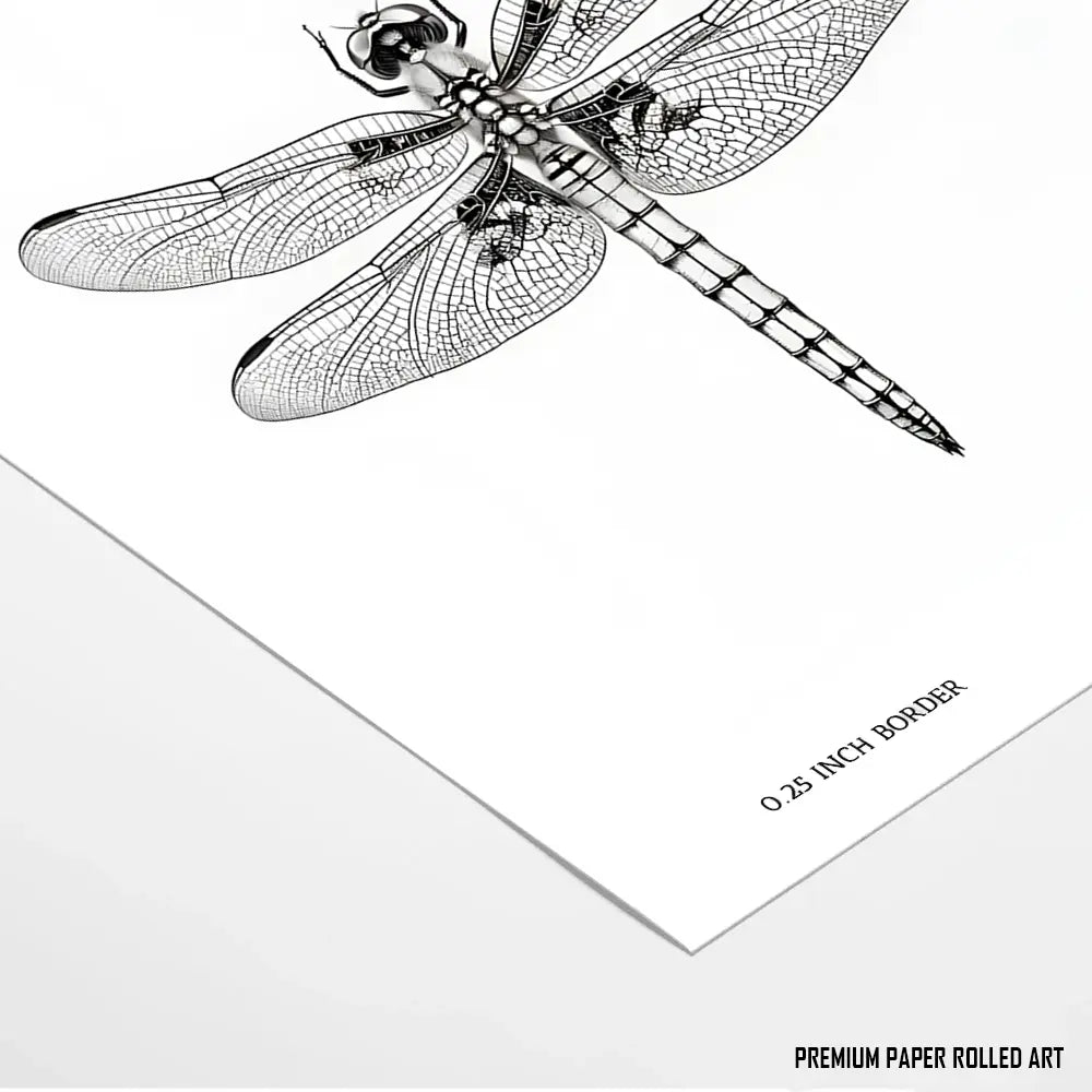 Dragonfly's Details