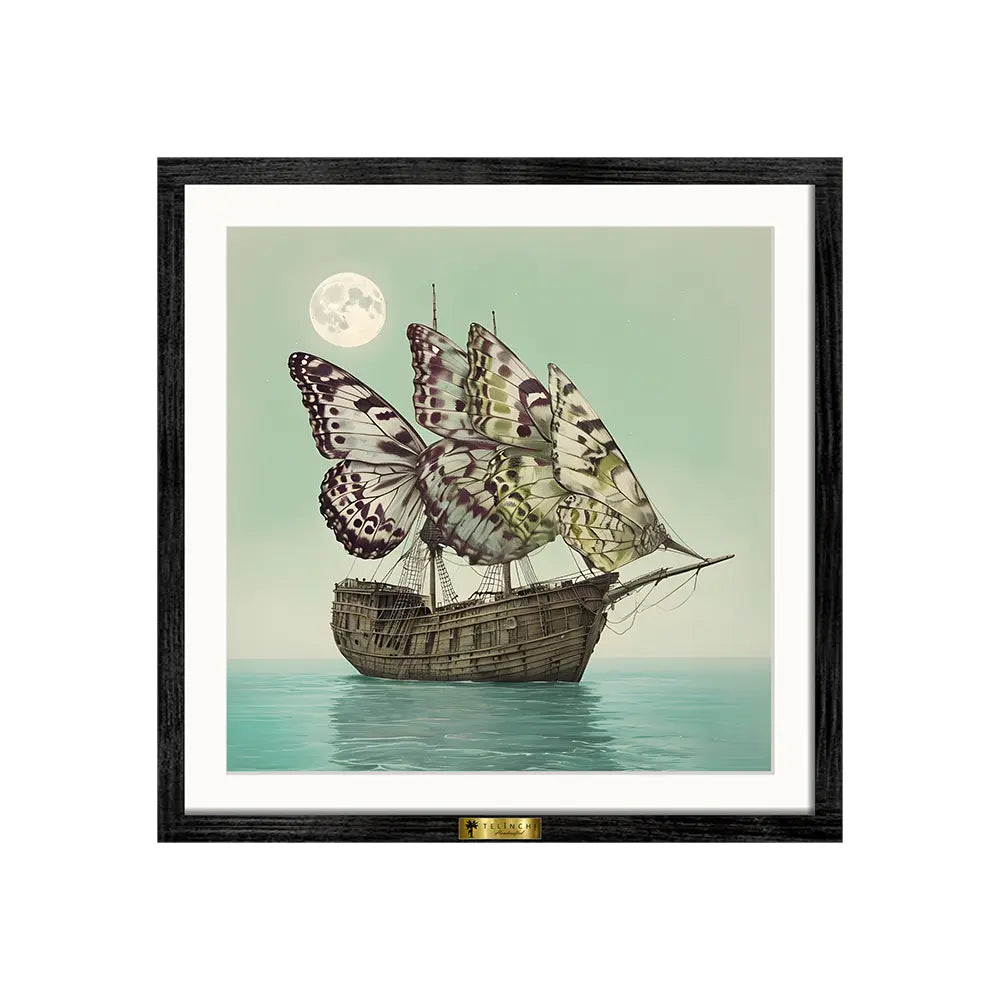 Butterfly Ship