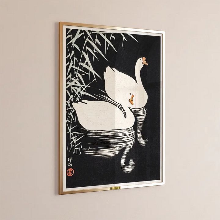 Swan Serenity
