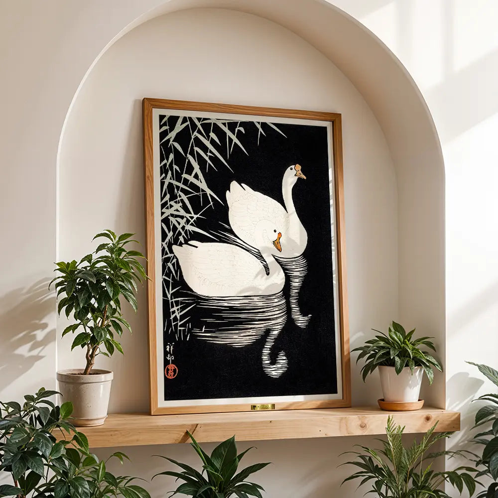Swan Serenity