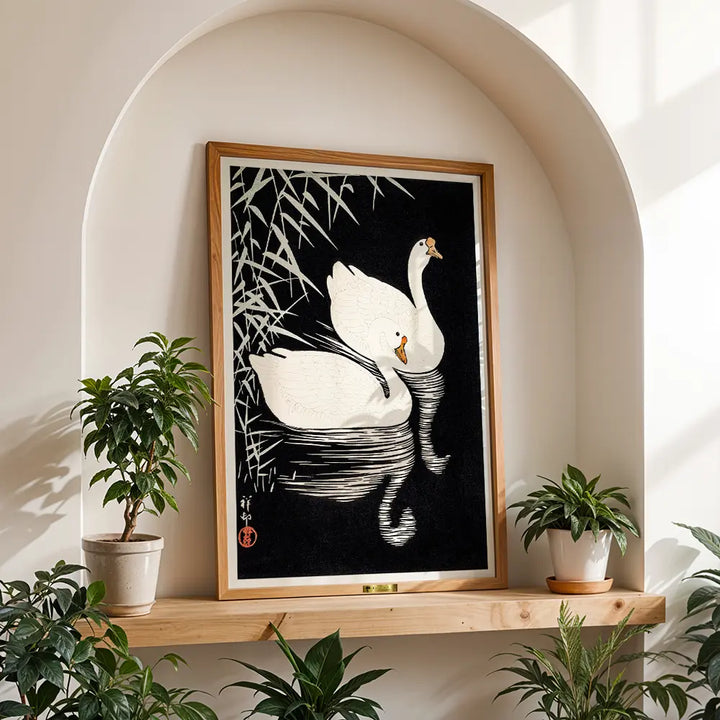 Swan Serenity