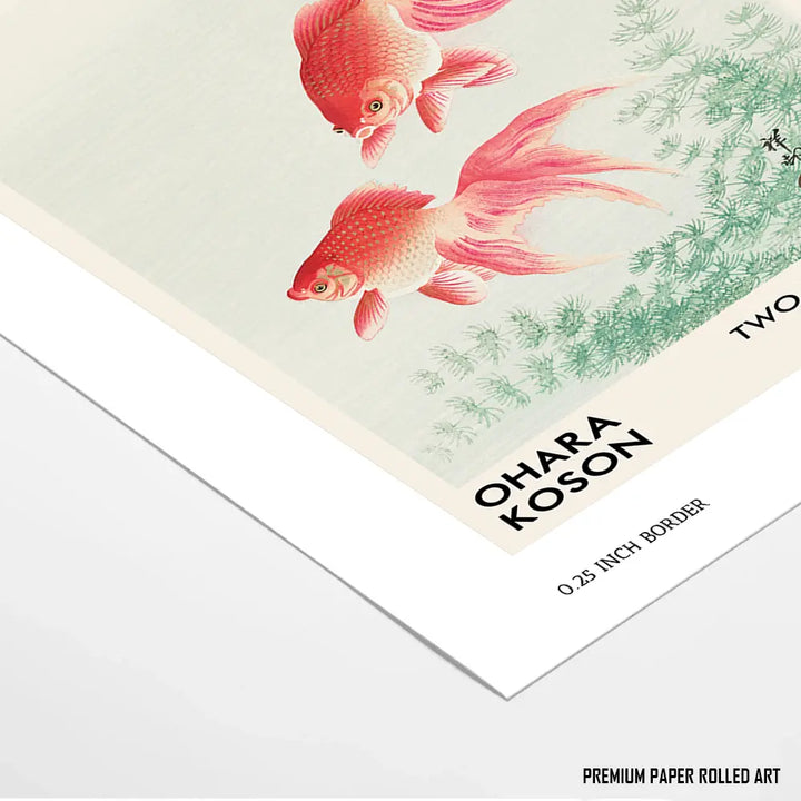 Two Veil Goldfish by Ohara Koson