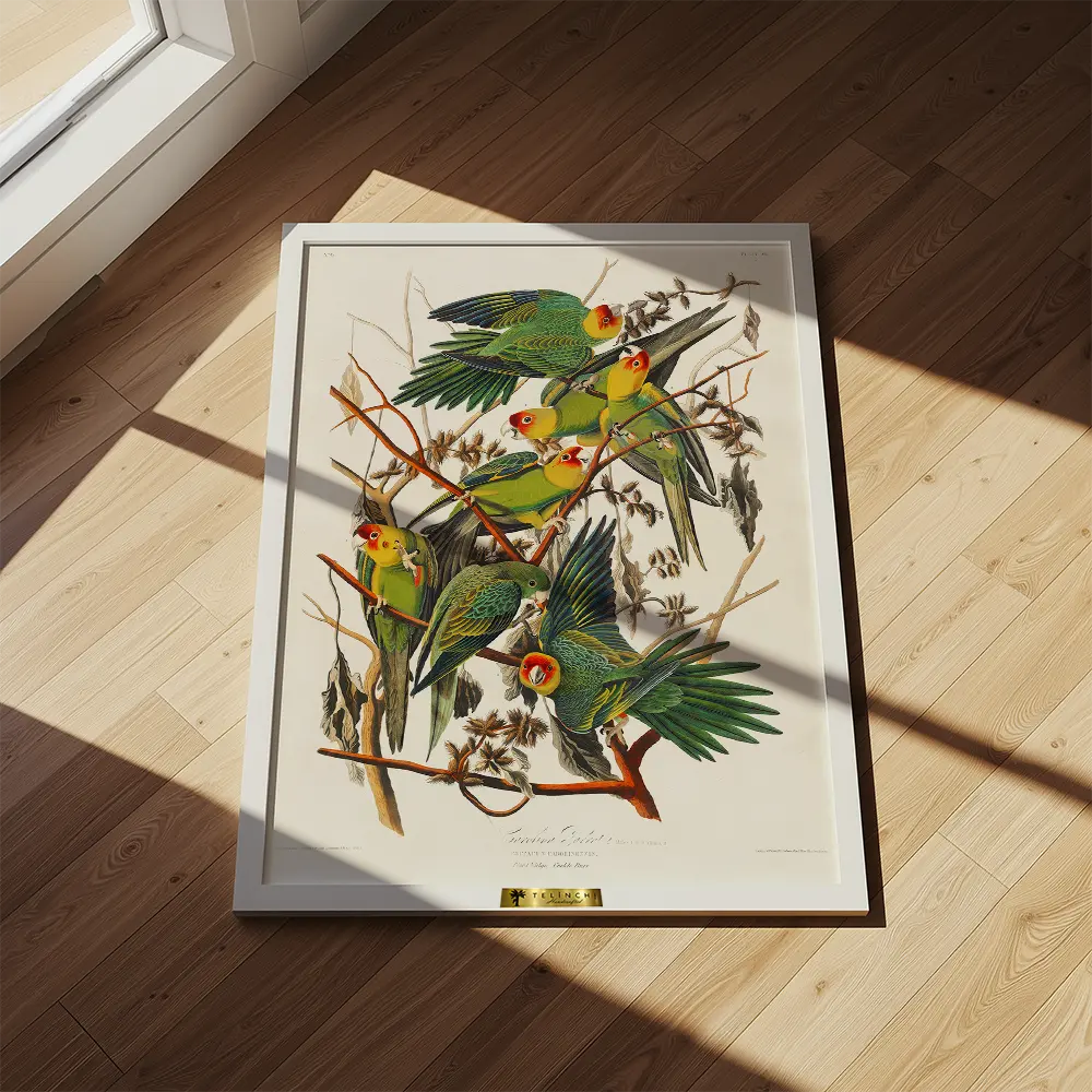 Carolina Parakeets on Branches