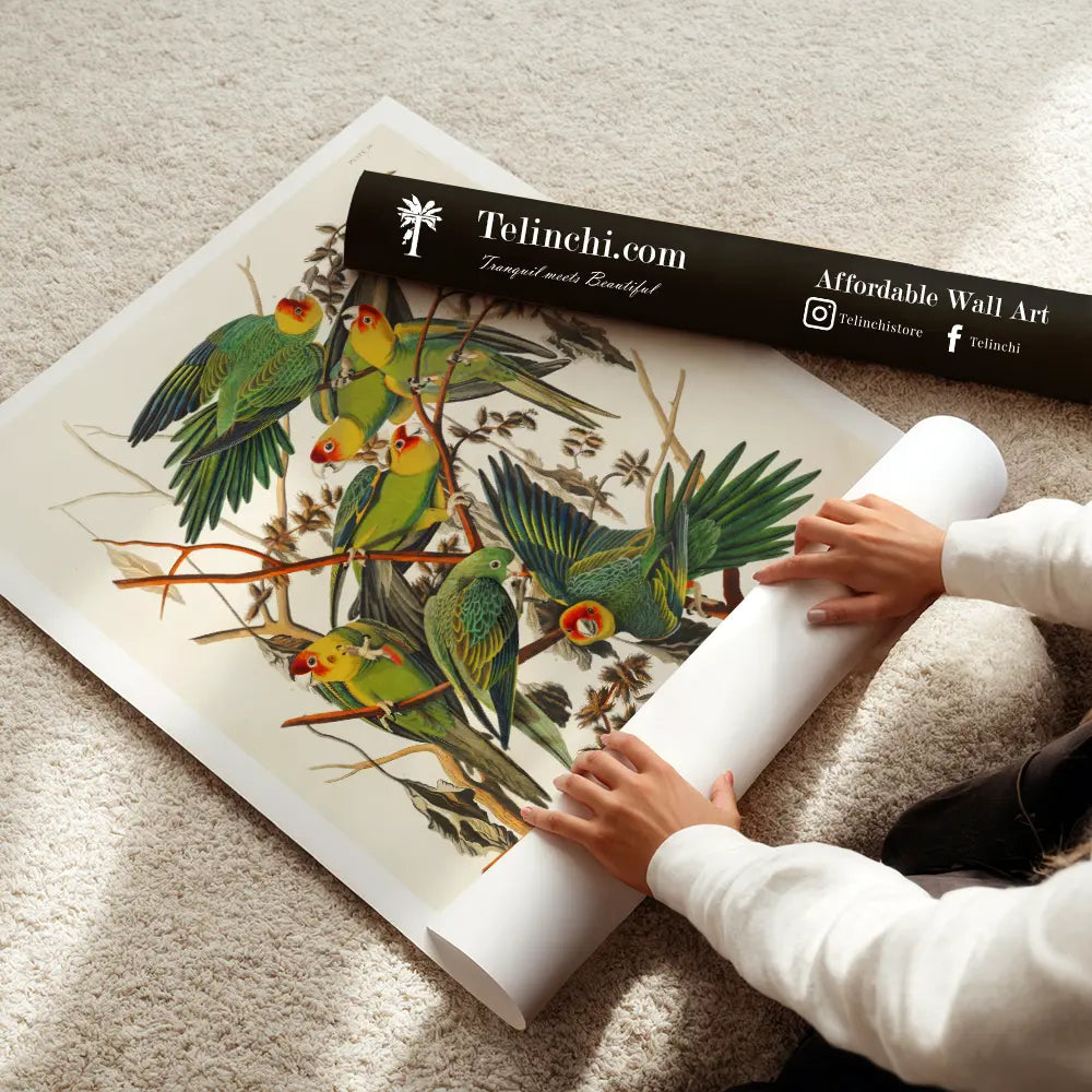 Carolina Parakeets on Branches