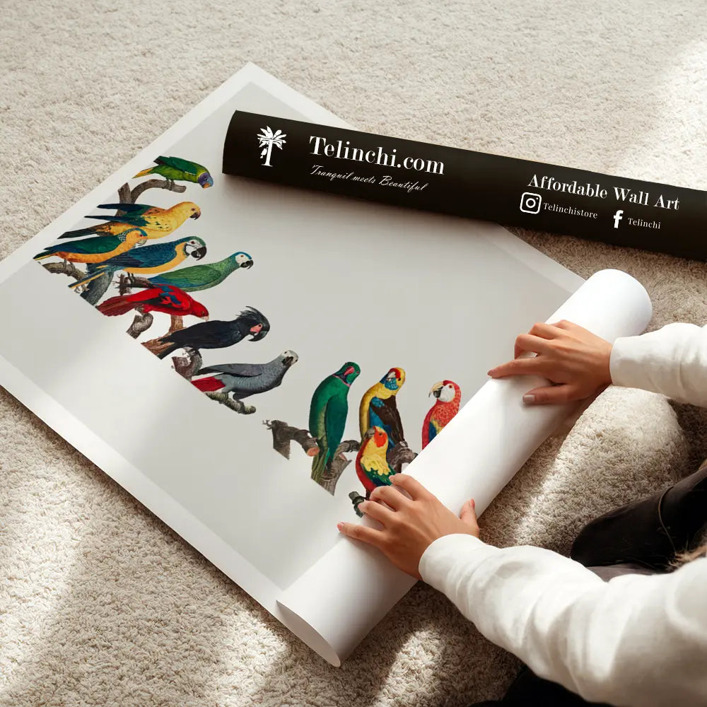 Theophrastus's Treasures