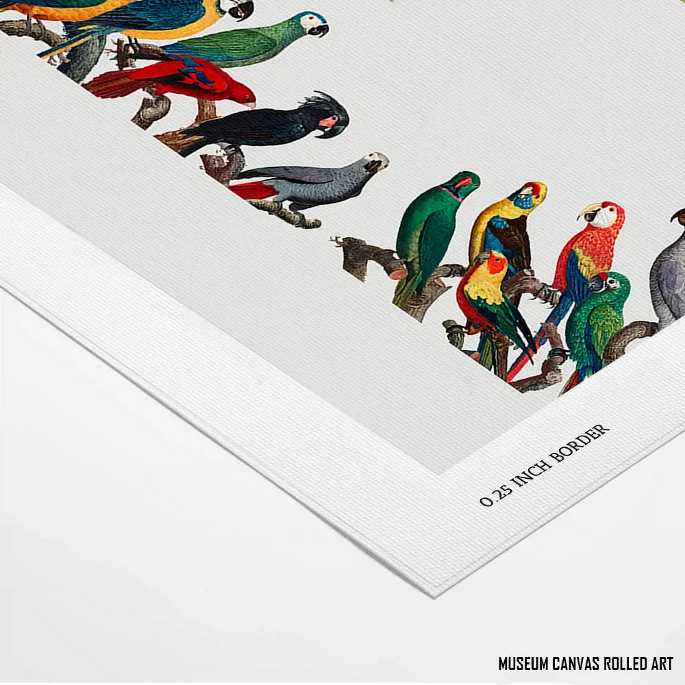 Theophrastus's Treasures