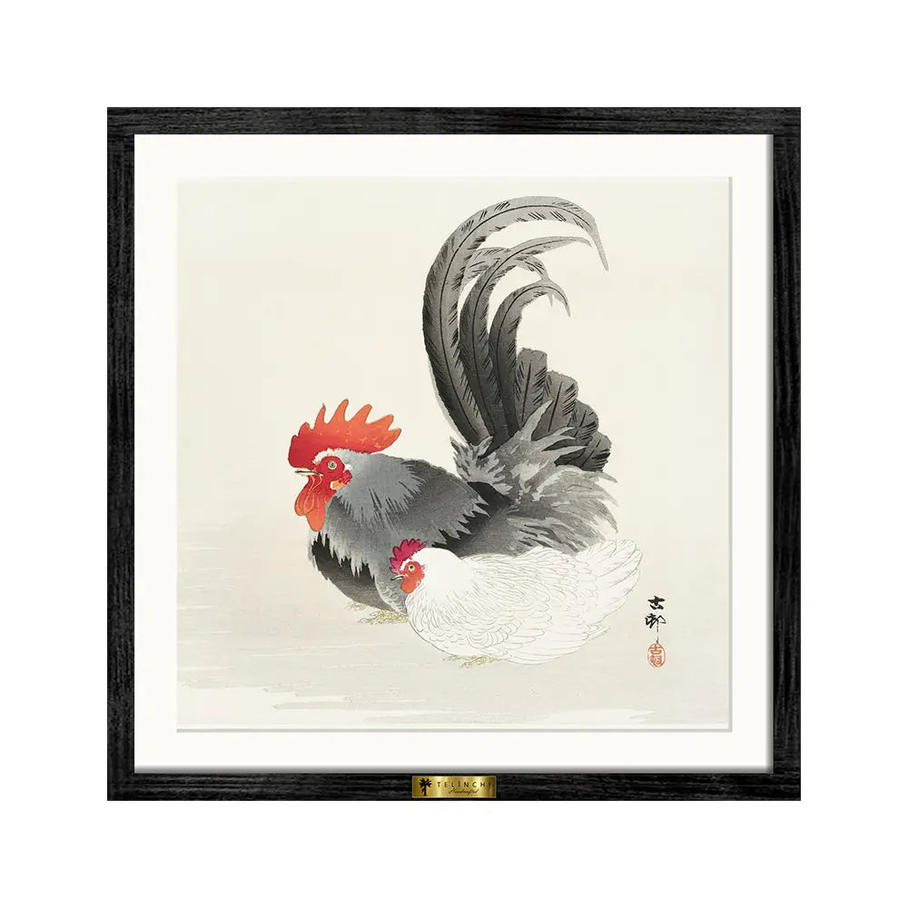 Feathered Companions