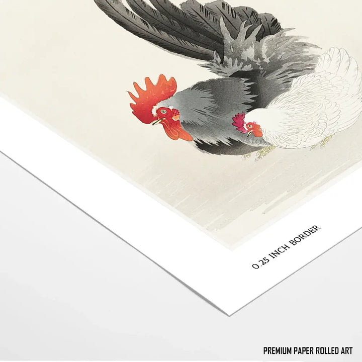 Feathered Companions