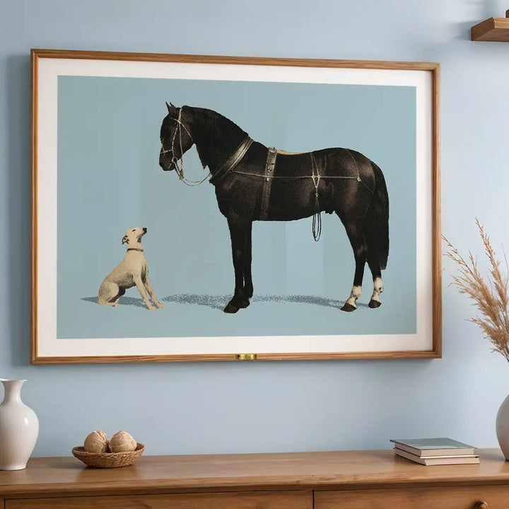 Equine Companions