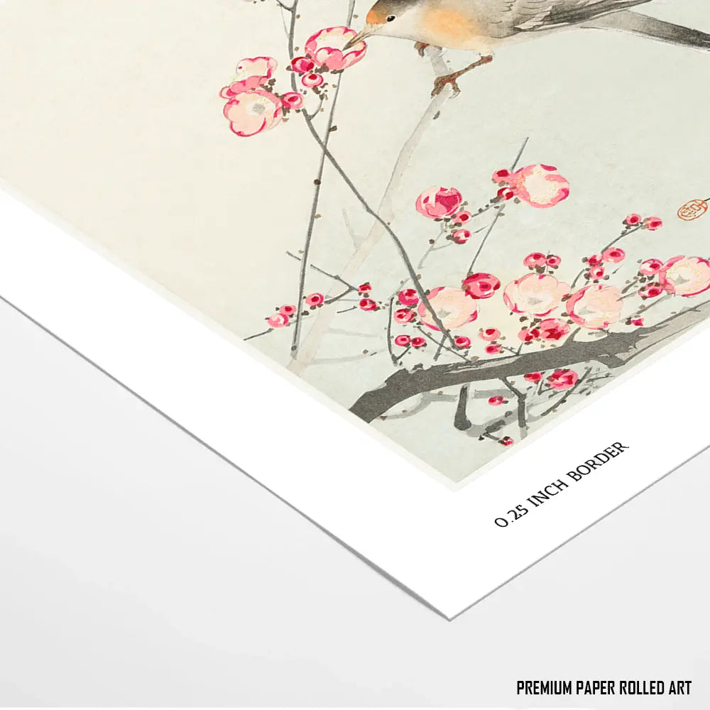 Blossoms of Tranquility