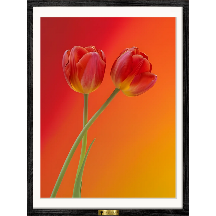 Blazing Tulips - Telinchi