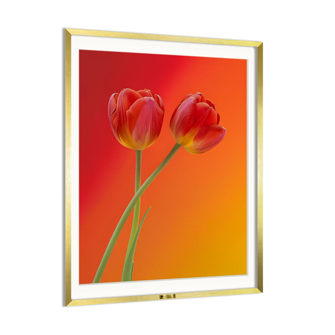 Blazing Tulips - Telinchi