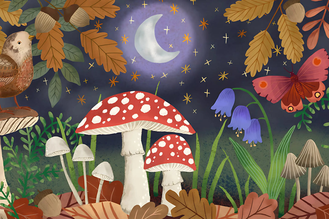 Enchanted Nightscape