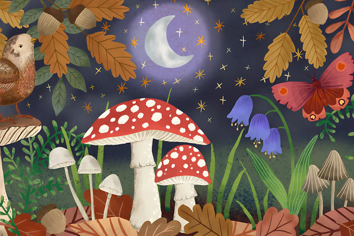 Enchanted Nightscape