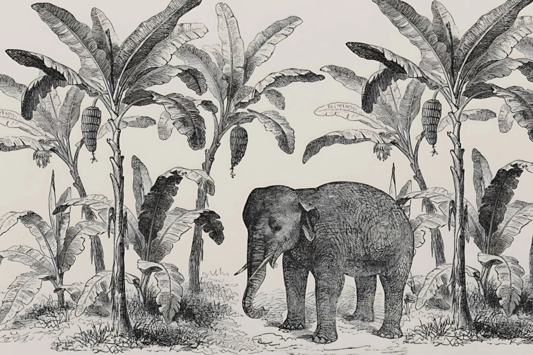 Elephant Grove Sketch