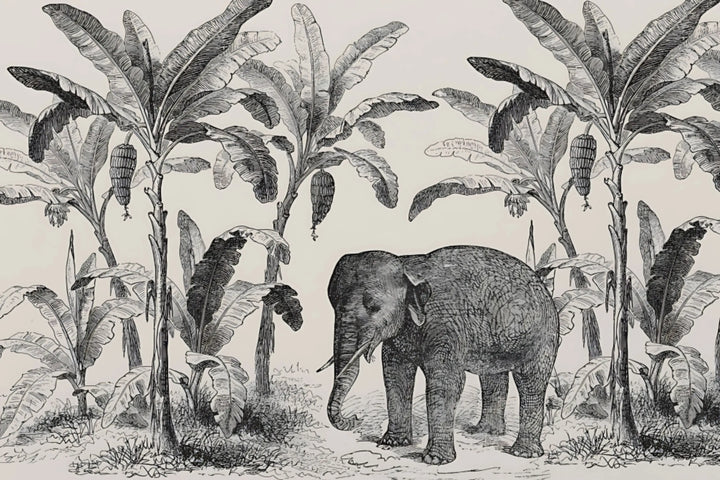 Elephant Grove Sketch