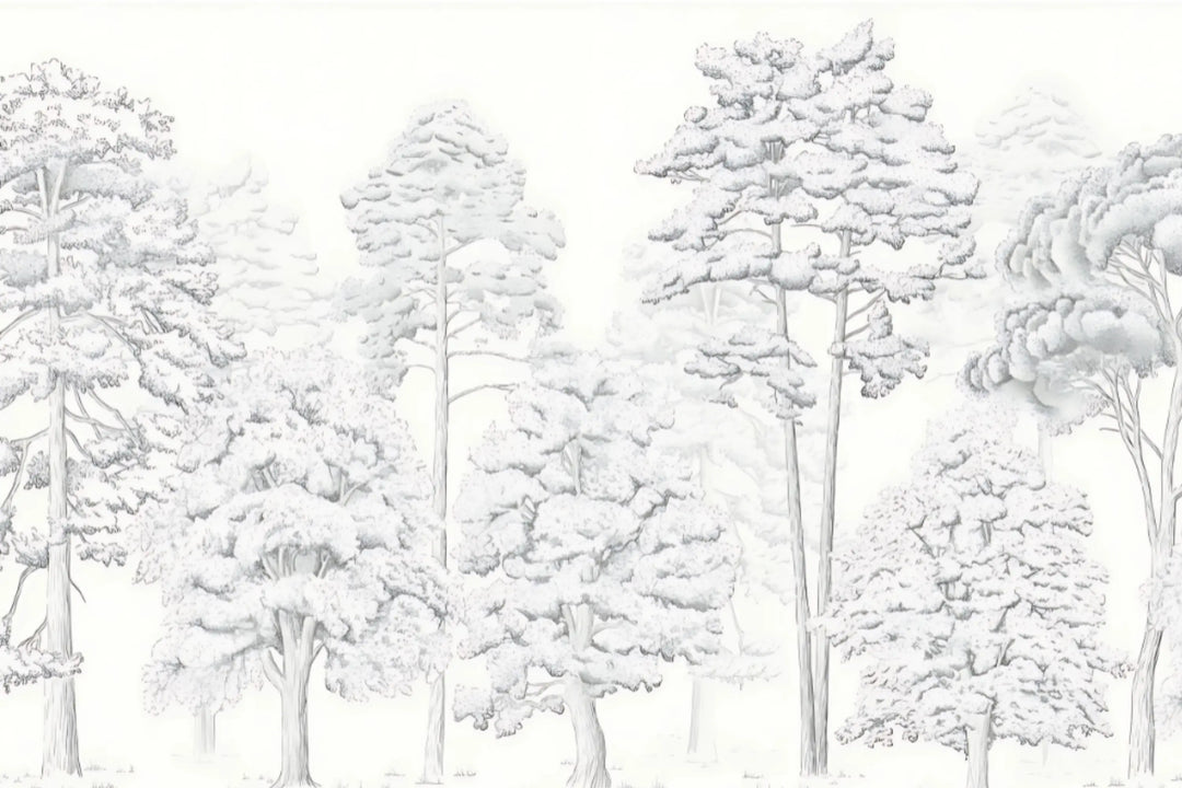 Winter Forest Serenity