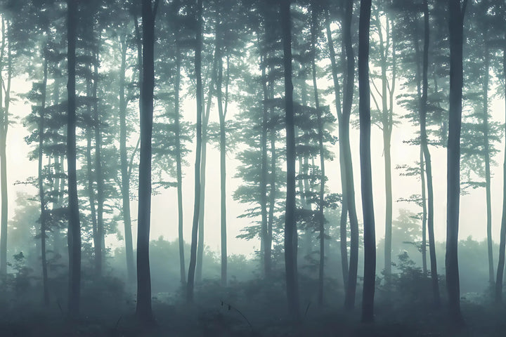 Enchanted Woodland Mist