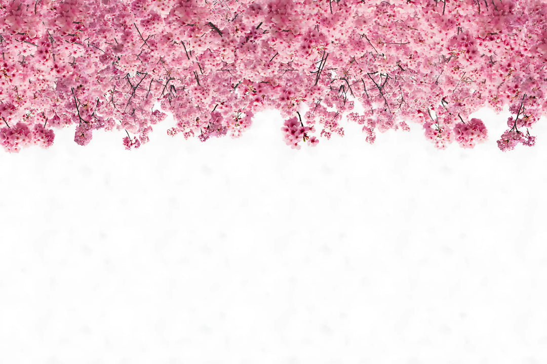 Cherry Blossom Cascade