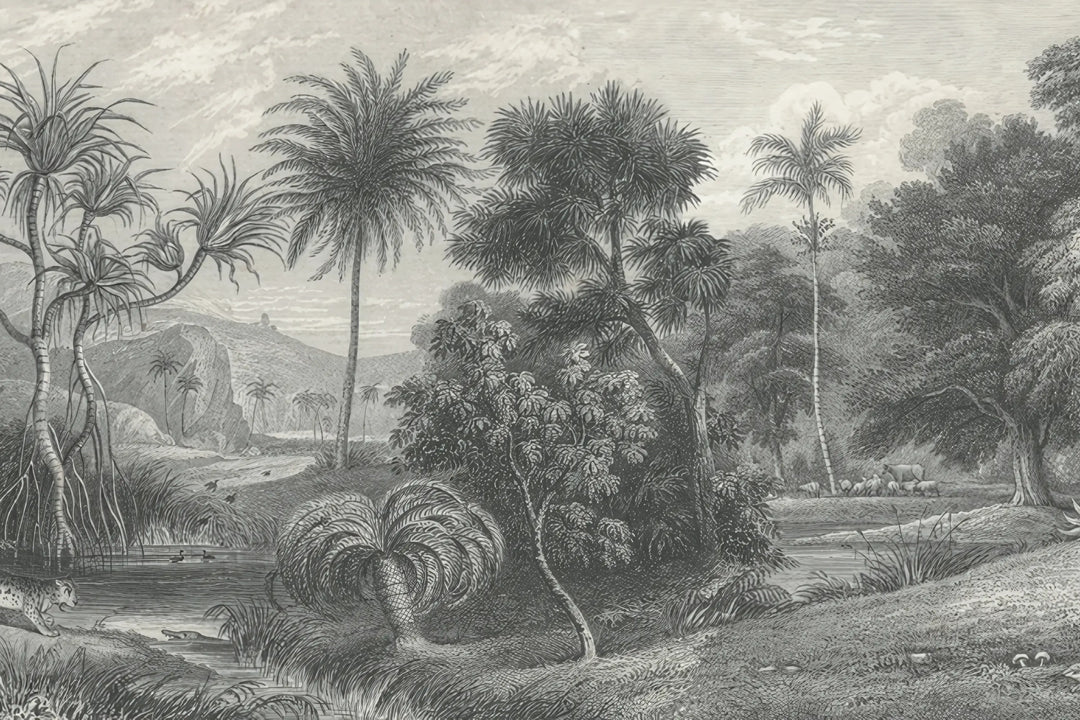 Eternal Forest Whispers