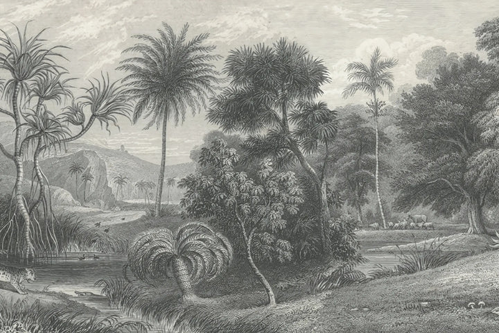 Eternal Forest Whispers