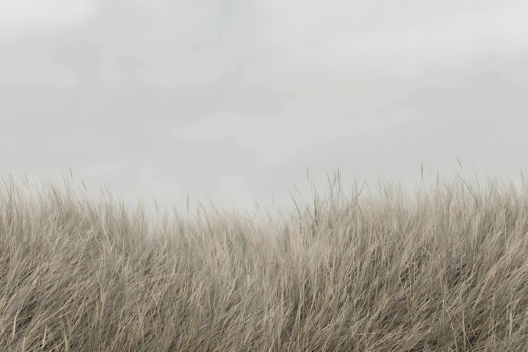 Whispering Grass Fields