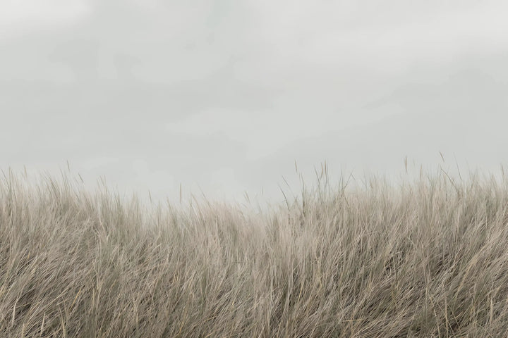 Whispering Grass Fields