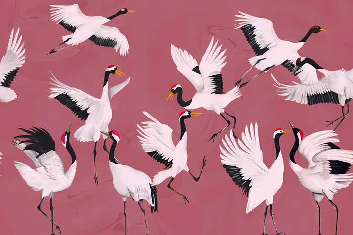 Dancing Cranes