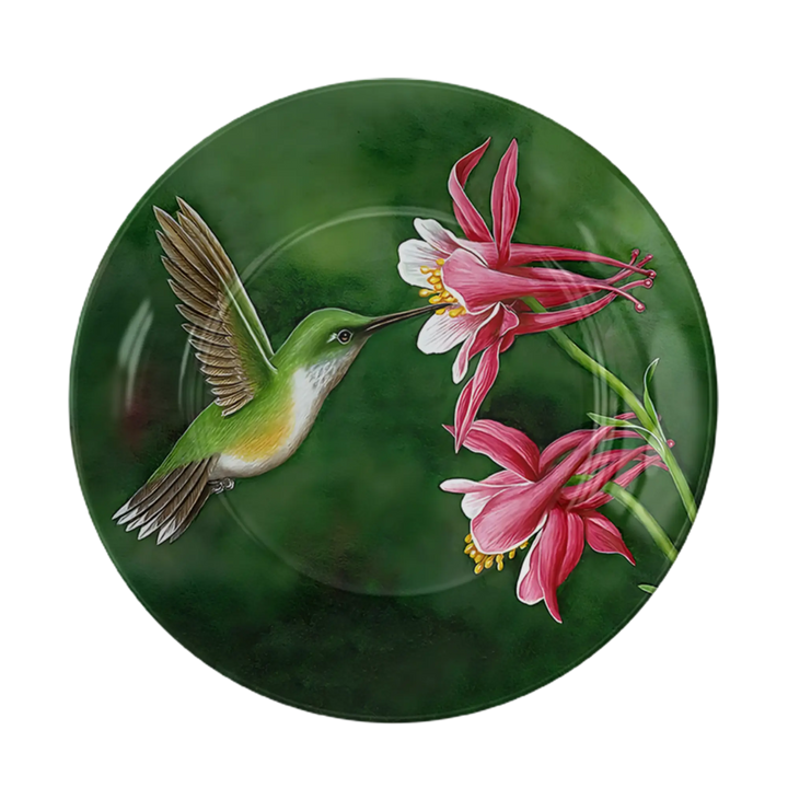 Hummingbird Bliss
