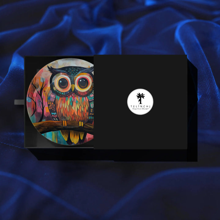 Whimsical Owl Gaze