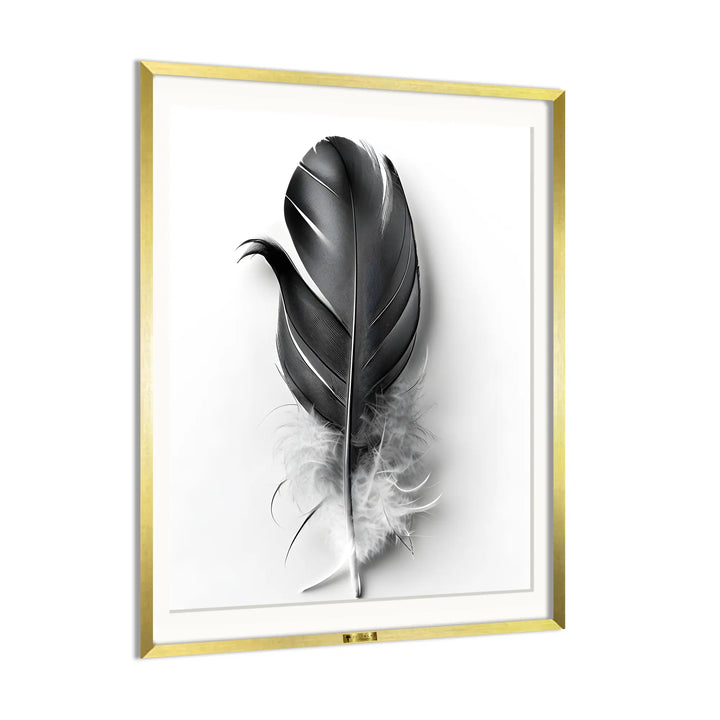 Ethereal Feather