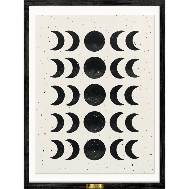 Phases of the Cosmos