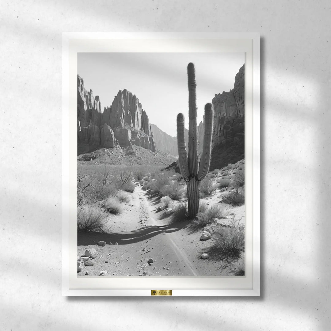 Desert Solitude