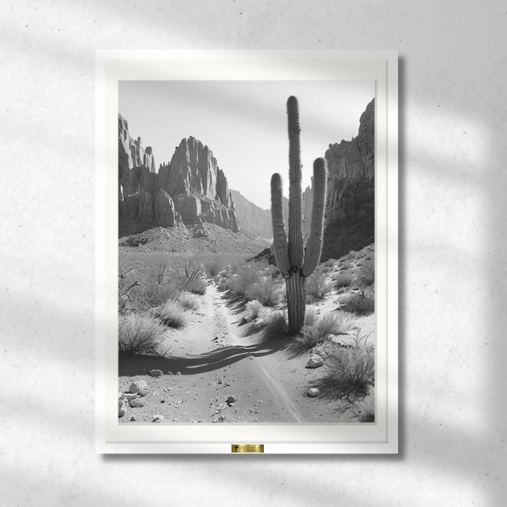Desert Solitude