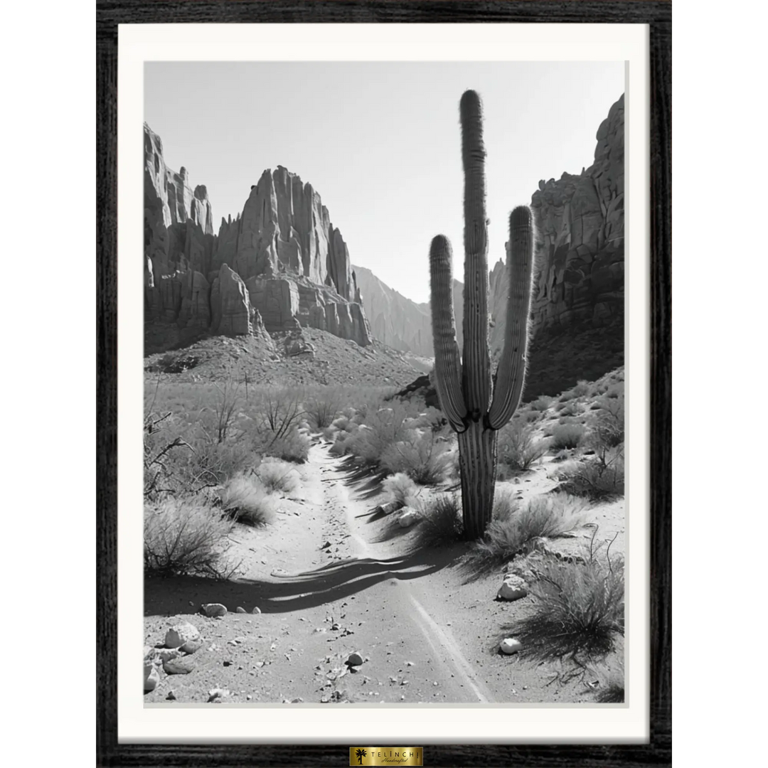 Desert Solitude