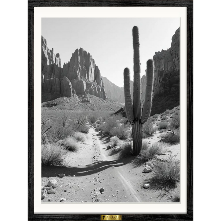 Desert Solitude