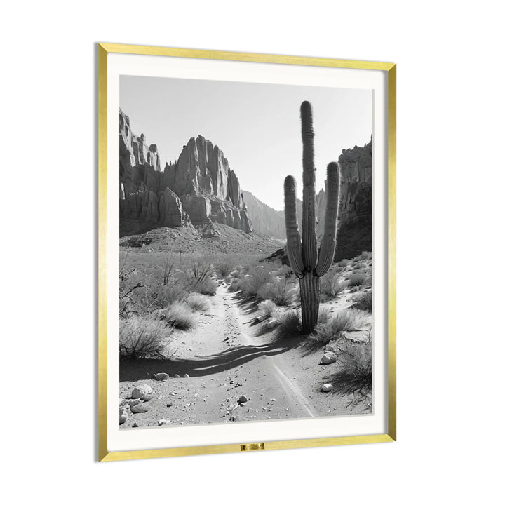 Desert Solitude