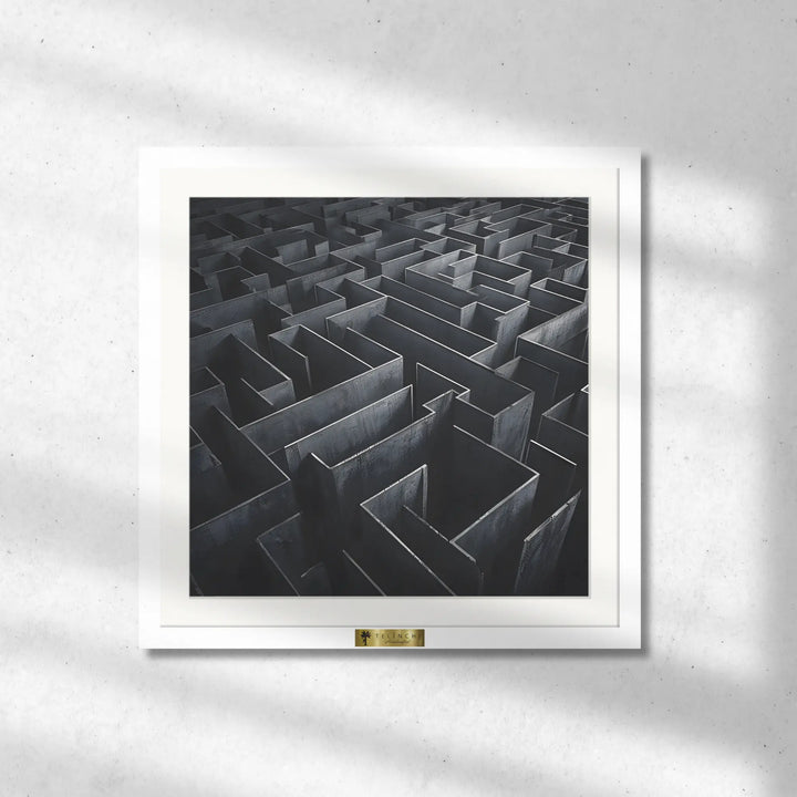 Maze of Shadows