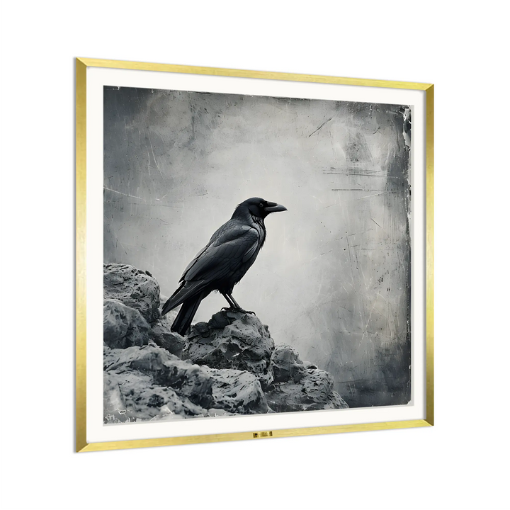 Ravens Gaze