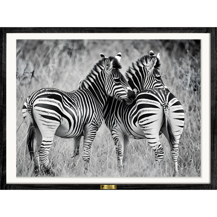 Zebra Bond
