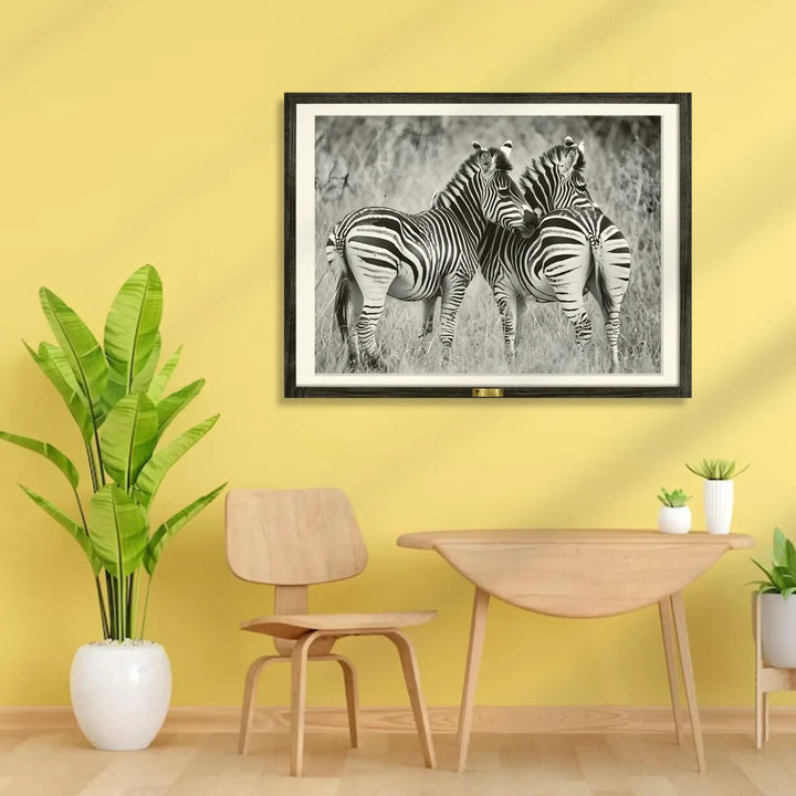 Zebra Bond