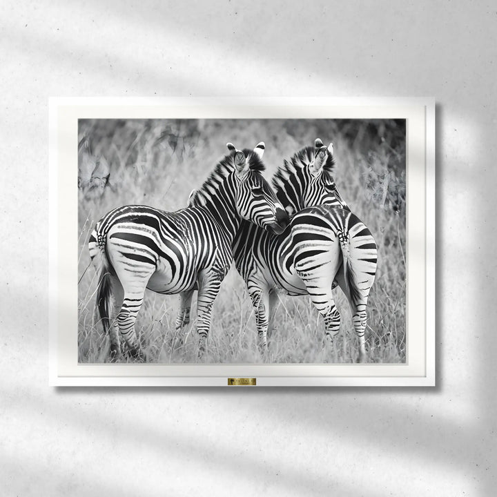 Zebra Bond