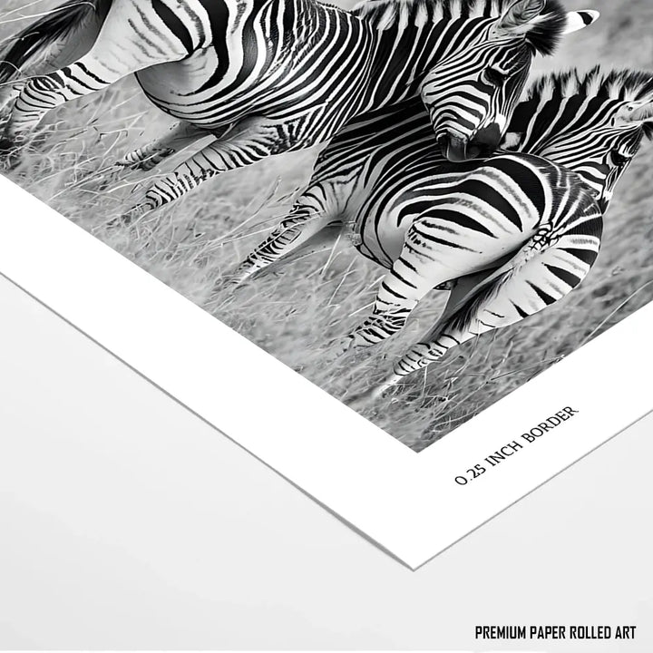 Zebra Bond