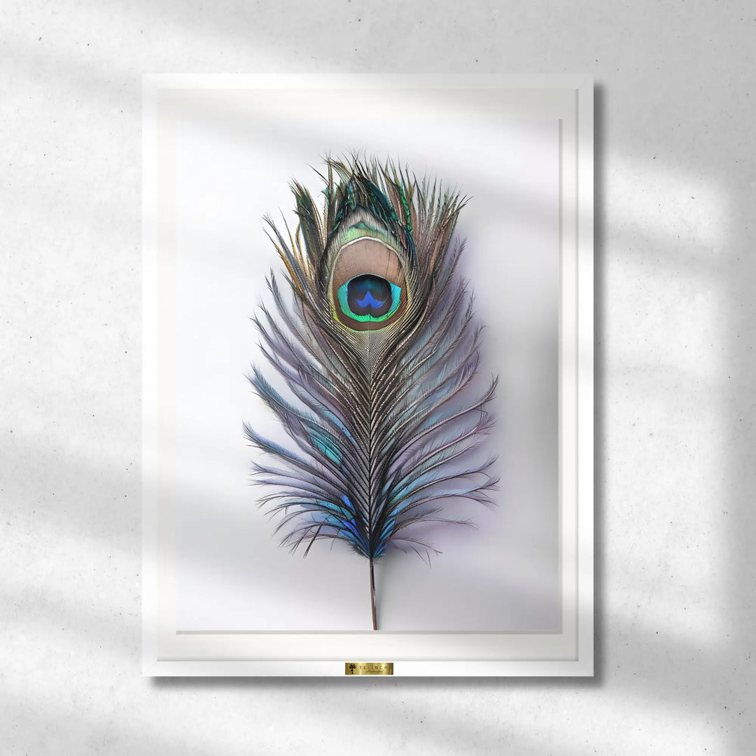 Peacock's Grace