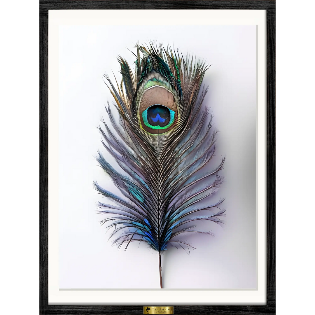 Peacock's Grace